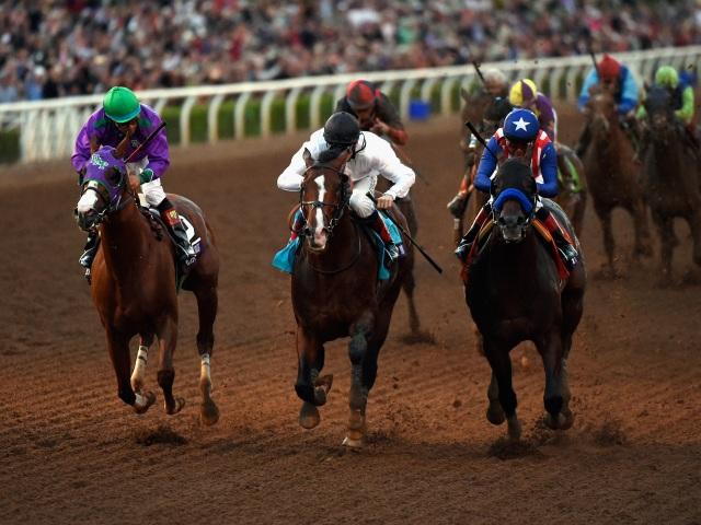 California Chrome (left) is set to have his final start in tonight's Pegasus World Cup